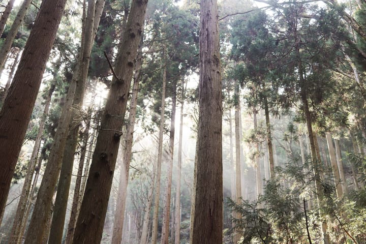 Thumbnail image for A Drive Down the Coast album