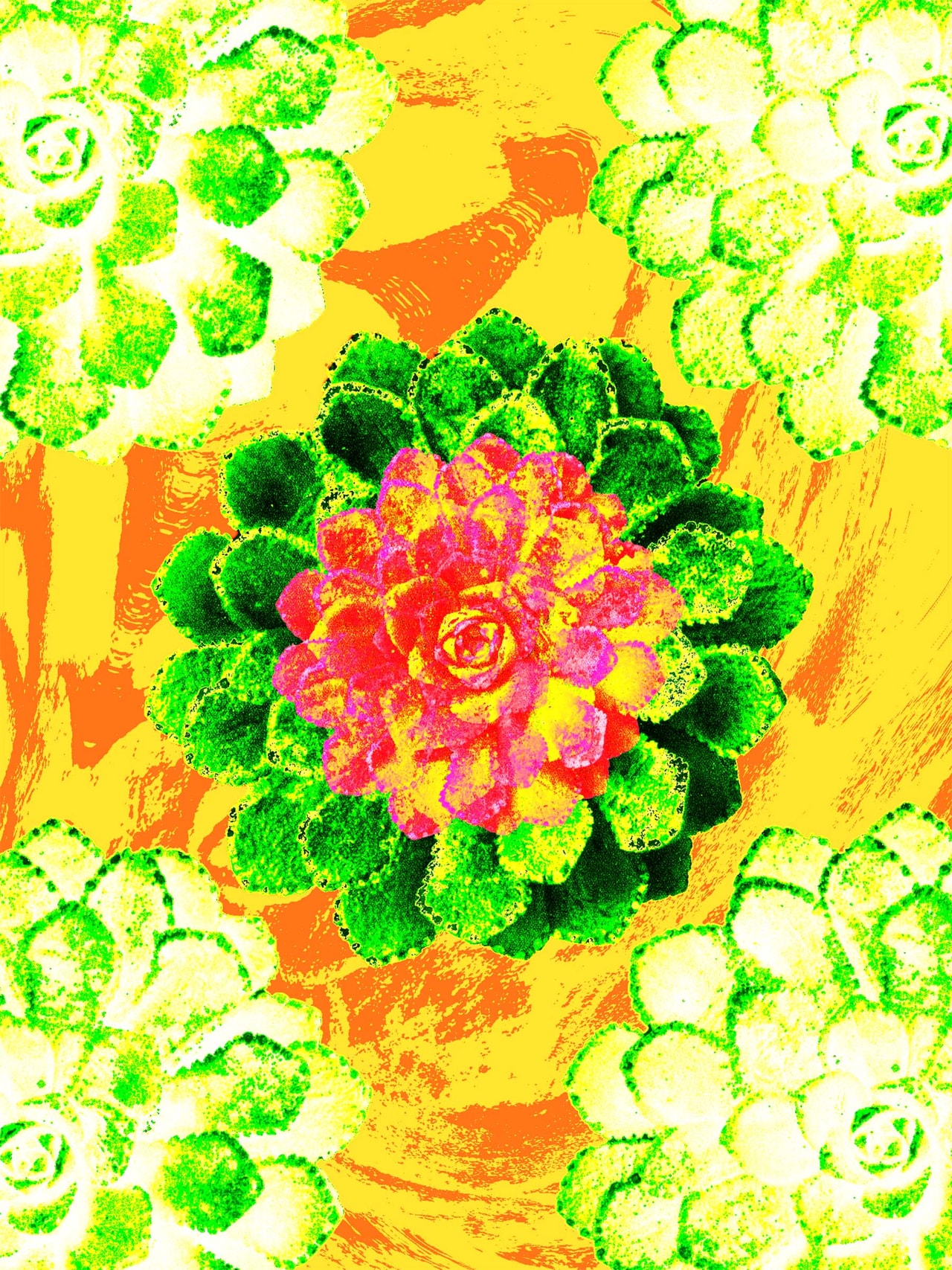 succulent with green red, yellow paint strokes on orange background