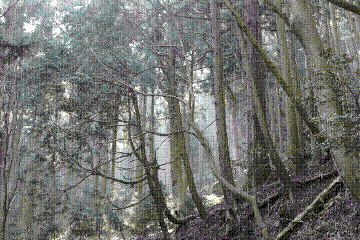 looking through the forested mountain in western japan. with a pixelated effect on it thumbnail