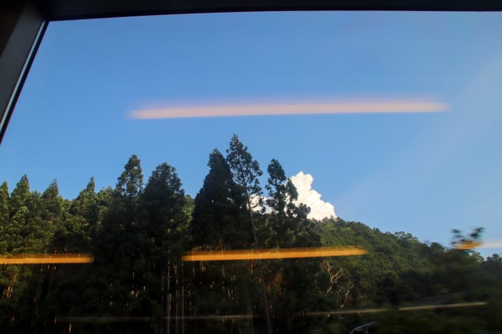 forest view with a blue sky and white clouds, thumbnail