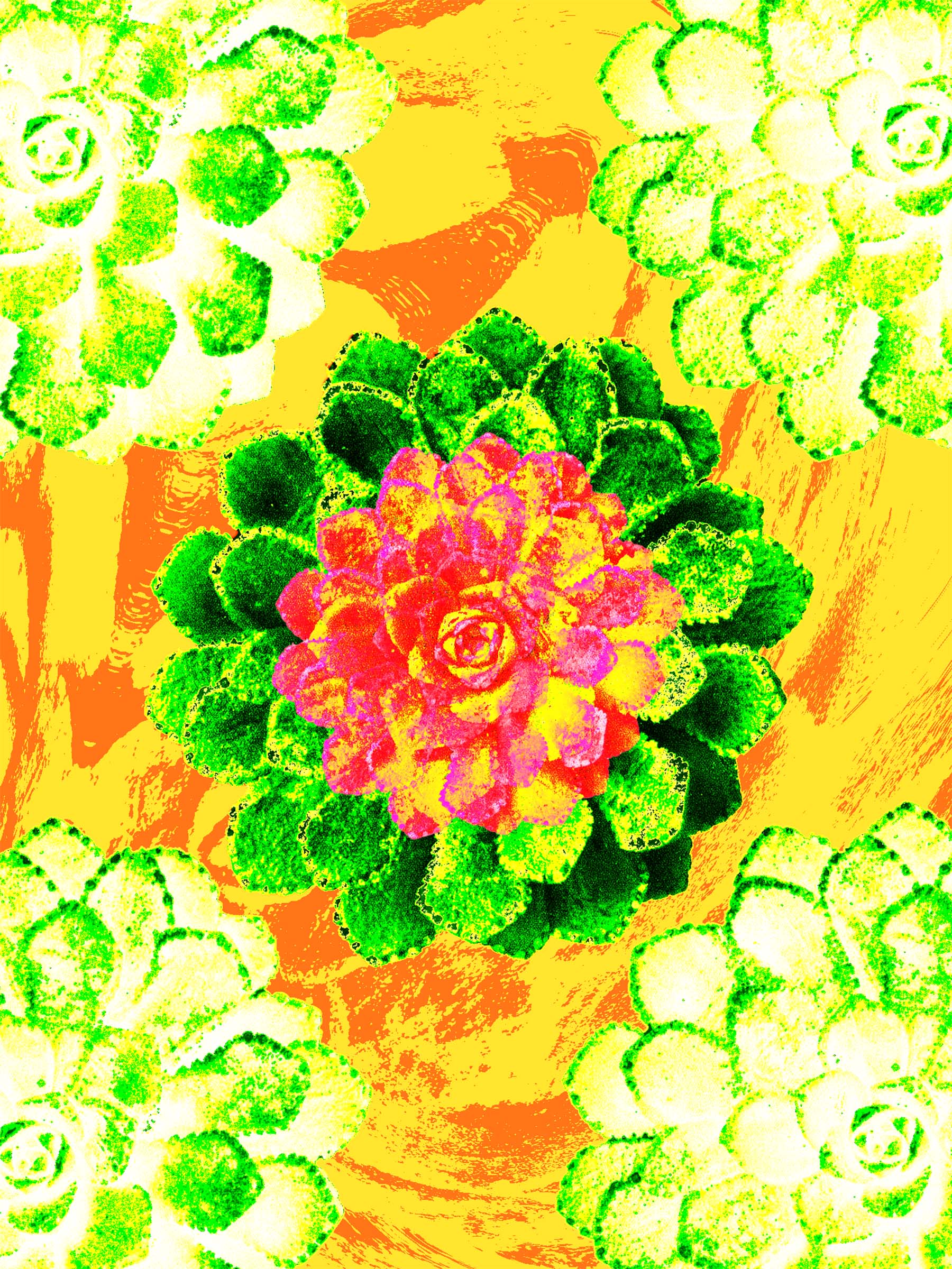 succulent with green red, yellow paint strokes on orange background
